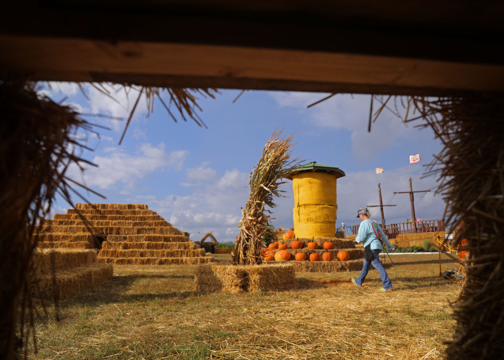 Pumpkinland opens with guidelines in place